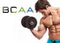 Bcaa.ua